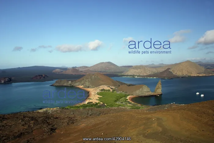  : Bartolome Island
