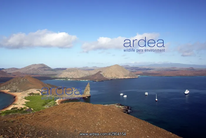  : Bartolome island
