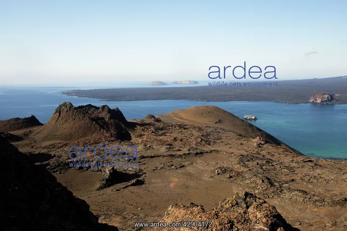 : Bartolome island : Bartolome island