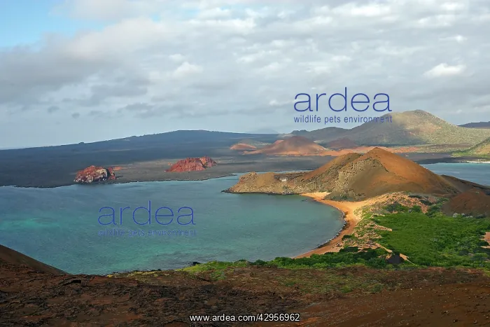  : Bartolome Island