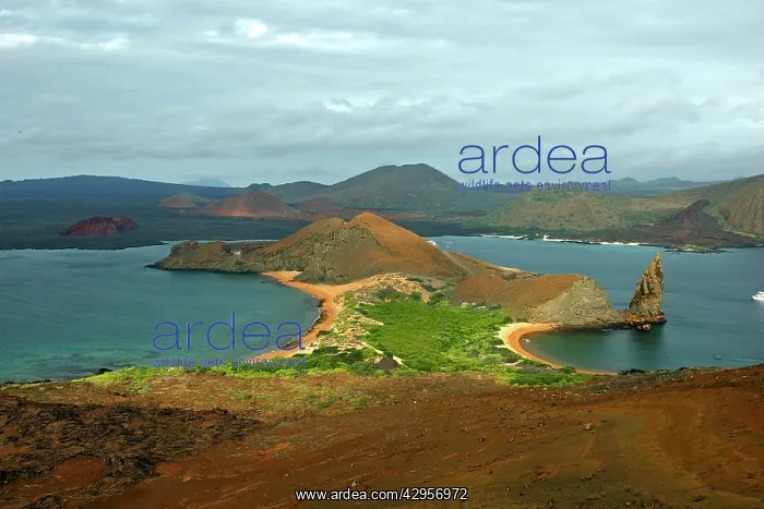  : Bartolome Island