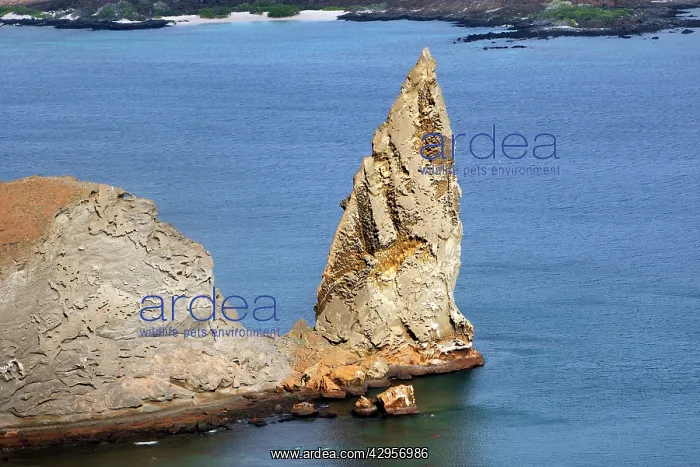  : Bartolome Island