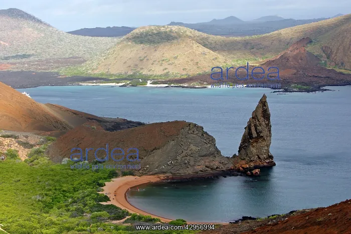  : Bartolome Island