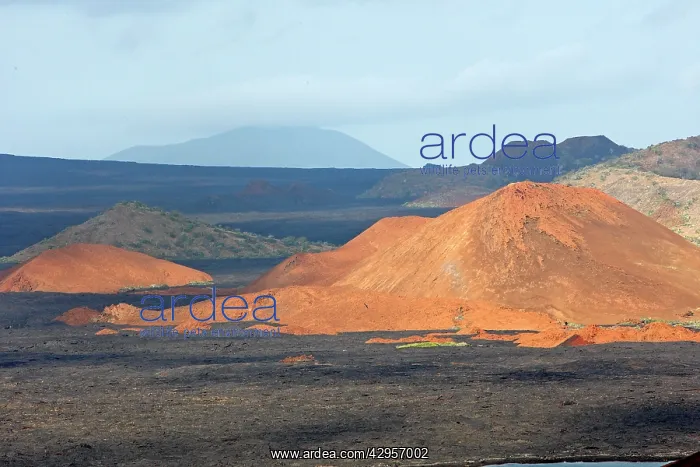  : Bartolome Island