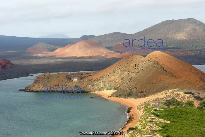  : Bartolome Island