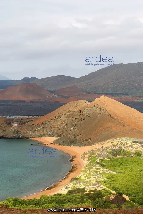  : Bartolome Island