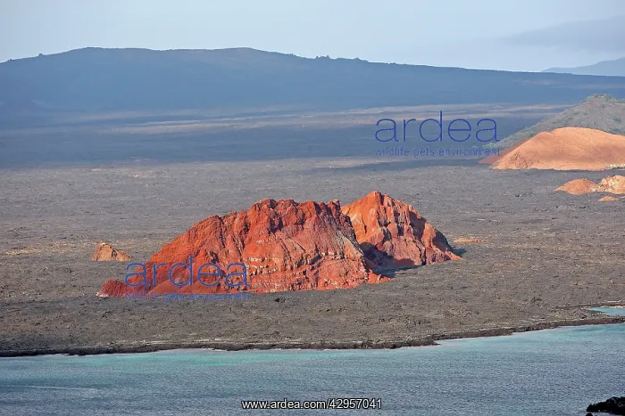  : Bartolome Island