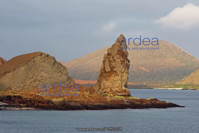  : Bartolome Island