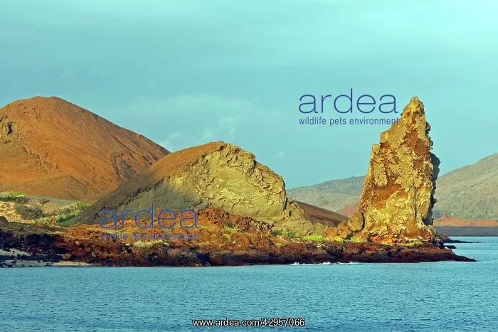 : Bartolome Island
