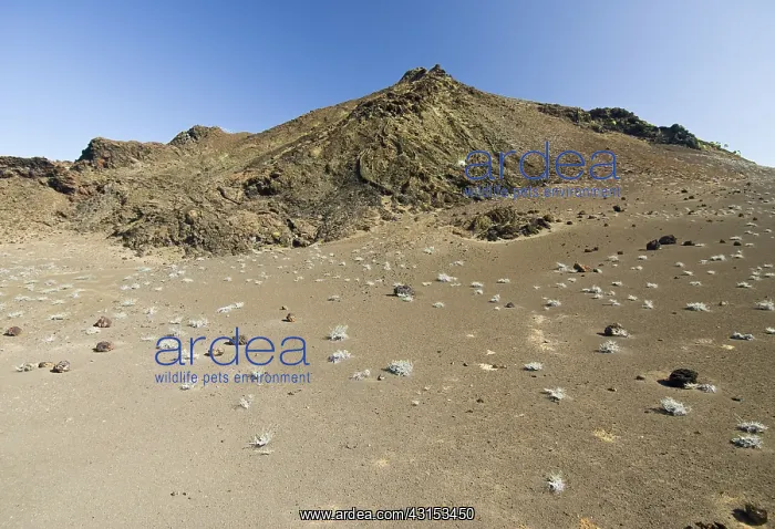 : Bartolome Island : Bartolome Island