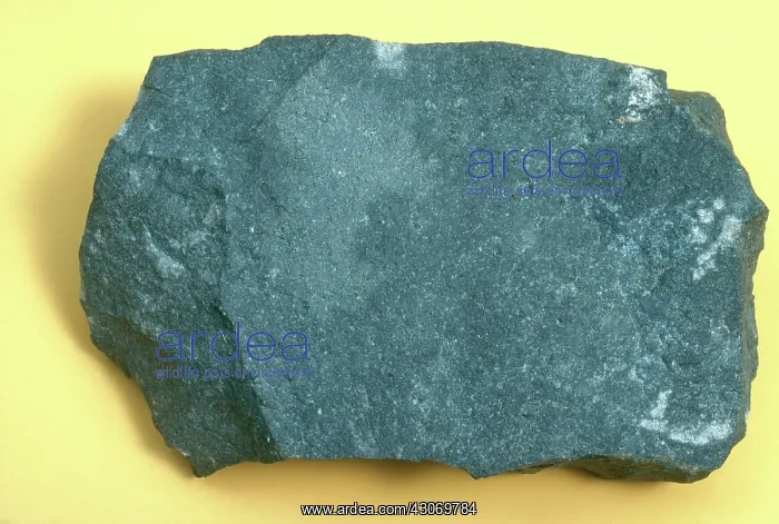 : Basalt from Chimney Rock, New Jersey : Basalt from Chimney Rock, New Jersey