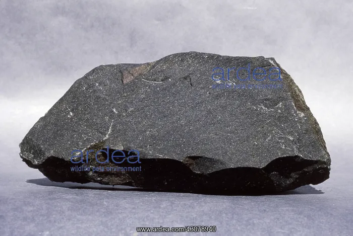 : Basalt (Igneous rock), Tasmania, Australia : Basalt (Igneous rock), Tasmania, Australia