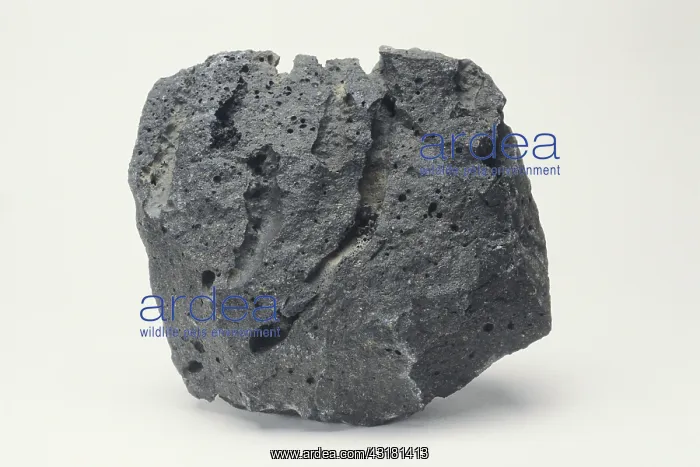 : Basalt, an igneous rock formed by the rapid cooling of lava rich in magnesium and iron : Basalt, an igneous rock formed by the rapid cooling of lava rich in magnesium and iron