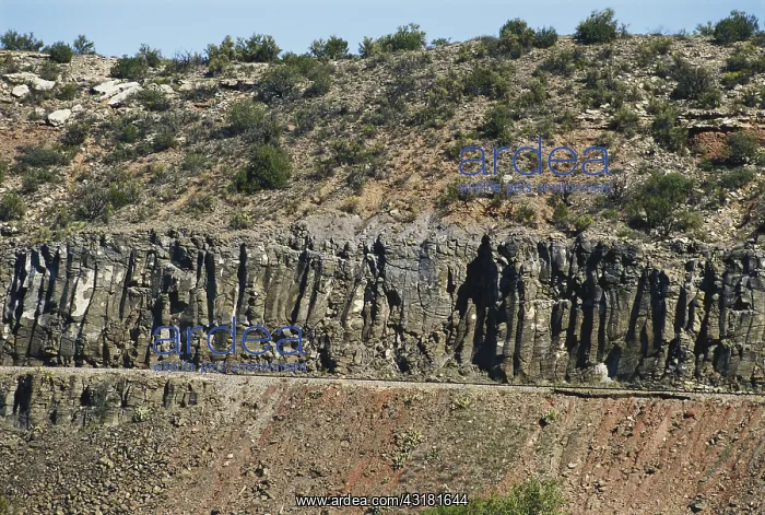 : Basalt in Arizona : Basalt in Arizona