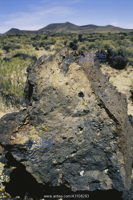 : Basalt Boulder : Basalt Boulder