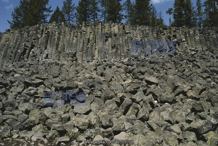 : Basalt Boulders : Basalt Boulders