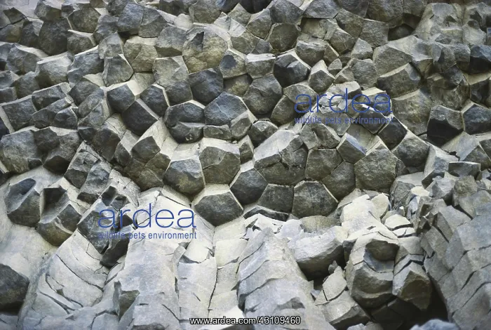  : Basalt in British Columbia