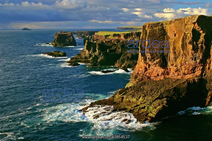 : Basalt cliffs - rugged basalt cliffs of Eshaness : Basalt cliffs - rugged basalt cliffs of Eshaness