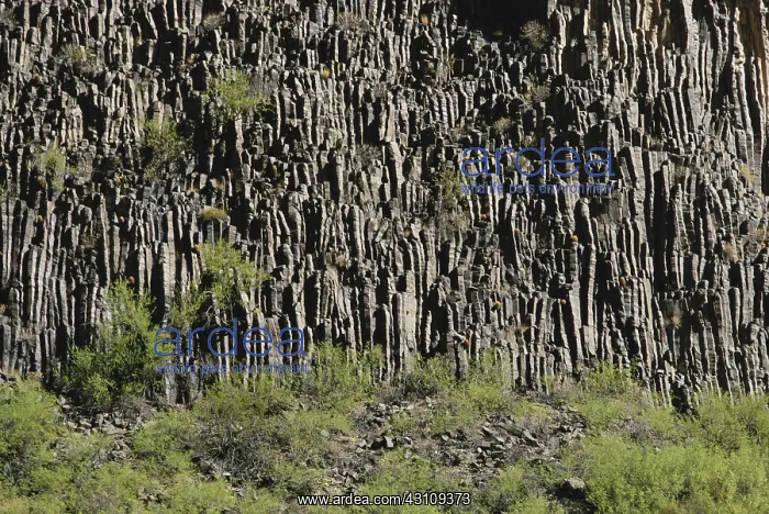 : Basalt Columns in the Grand Canyon : Basalt Columns in the Grand Canyon