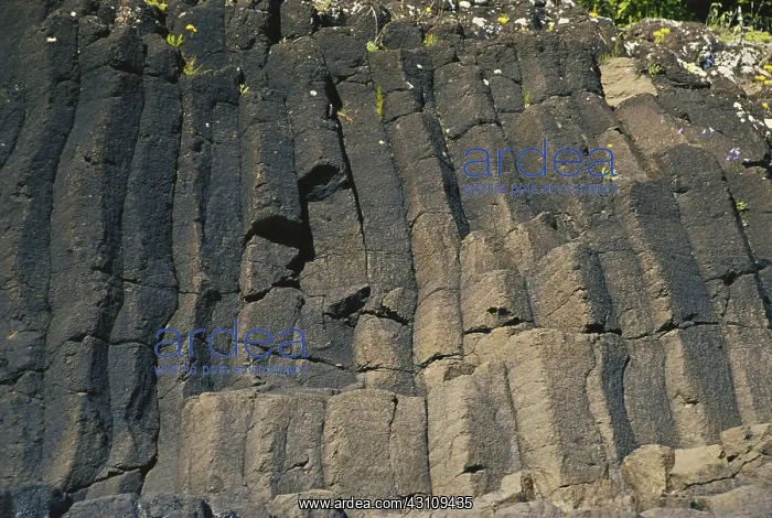 : Basalt Columns in Ontario : Basalt Columns in Ontario