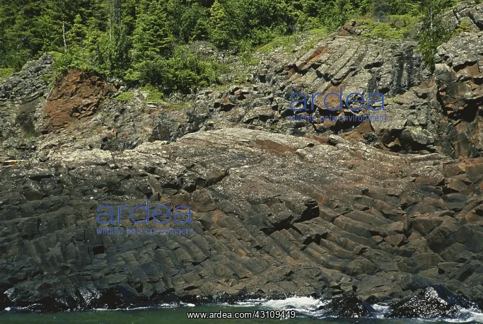 : Basalt Columns in Ontario : Basalt Columns in Ontario