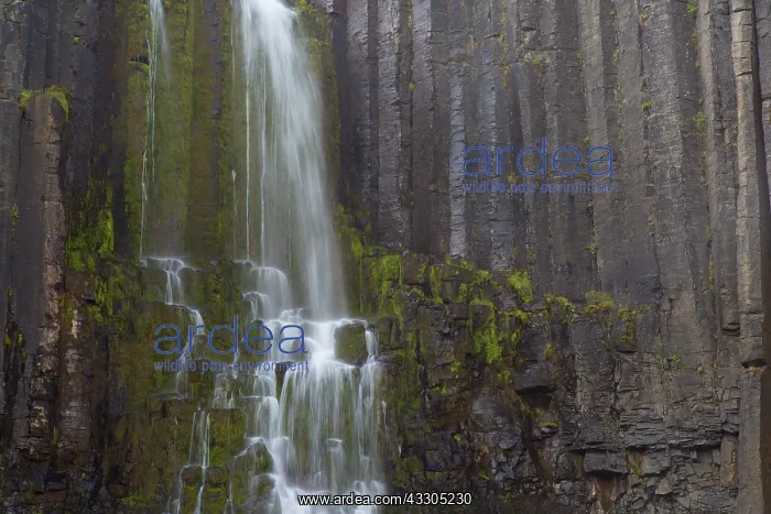 : Basalt columns at waterfall Studlagil - Austurland : Basalt columns at waterfall Studlagil - Austurland