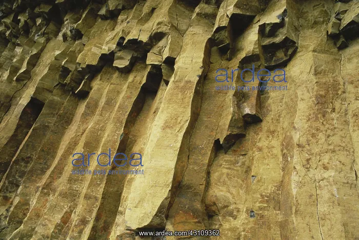 : Basalt Columns in Yellowstone : Basalt Columns in Yellowstone