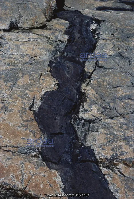: Basalt Dike in Granite : Basalt Dike in Granite