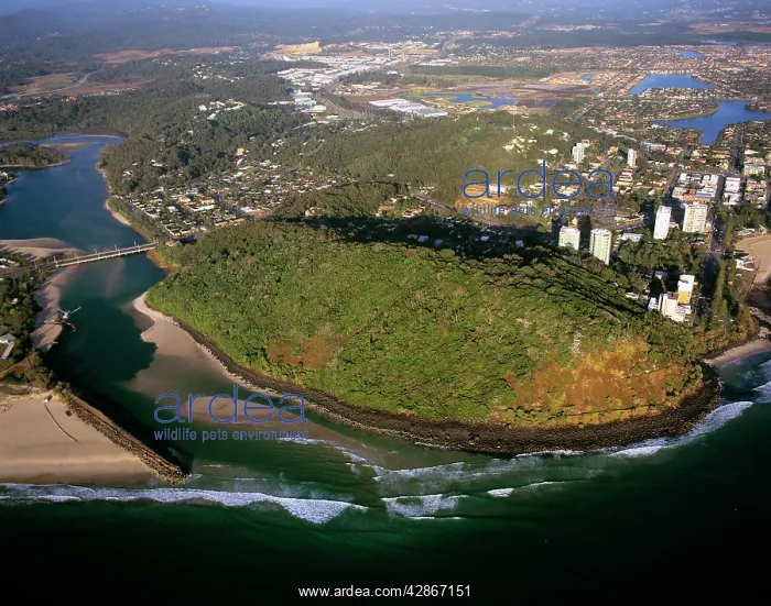 : Basalt hill Burleigh Head National Park, Tallebudgera : Basalt hill Burleigh Head National Park, Tallebudgera