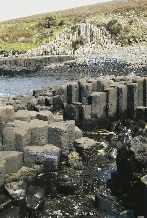 : Basalt in New Zealand : Basalt in New Zealand
