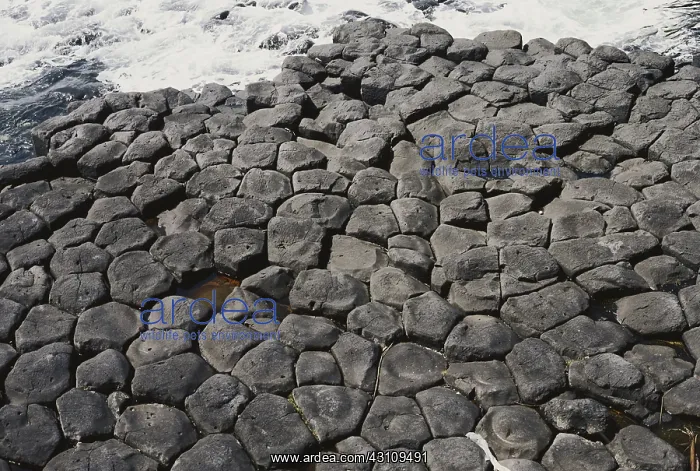 : Basalt in New Zealand : Basalt in New Zealand