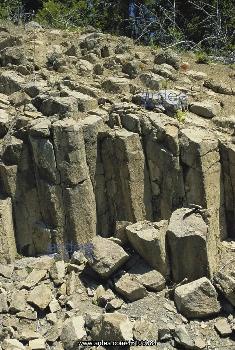 : Basalt in Oregon : Basalt in Oregon
