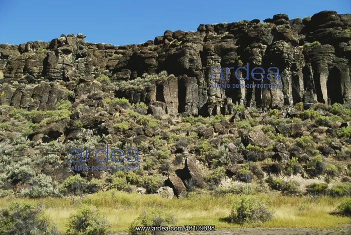 : Basalt in Oregon : Basalt in Oregon