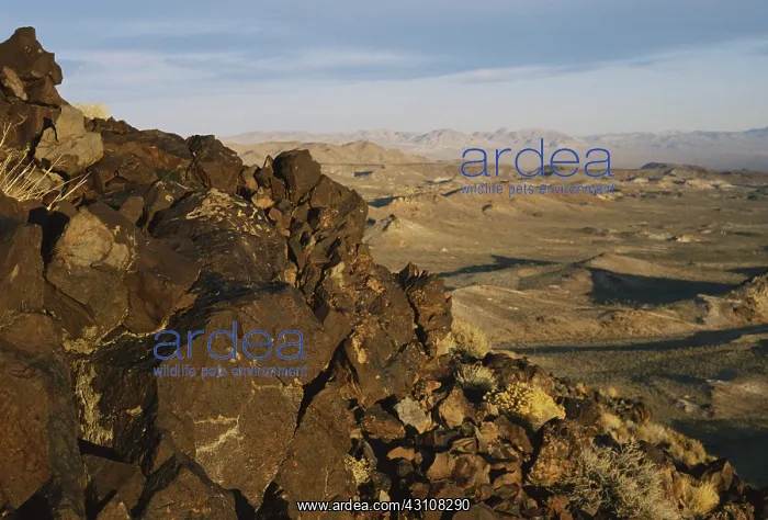 : Basalt Outcrop : Basalt Outcrop