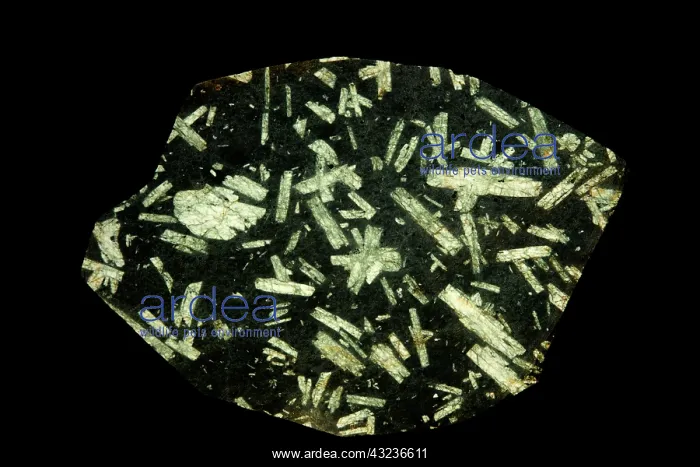 : basalt porphry with feldspar phenocrysts, Chinese writin : basalt porphry with feldspar phenocrysts, Chinese writin