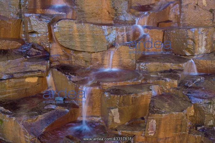 : Basalt rock formations at canyon Studlagil - Austurland : Basalt rock formations at canyon Studlagil - Austurland