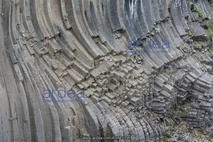 : Basalt rock formations at canyon Studlagil - Austurland : Basalt rock formations at canyon Studlagil - Austurland