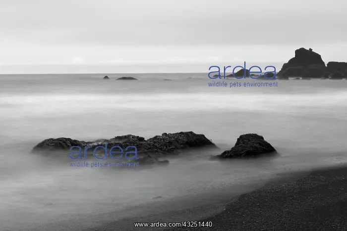 : Basalt sea stacks in the ocean, Vik, Iceland : Basalt sea stacks in the ocean, Vik, Iceland