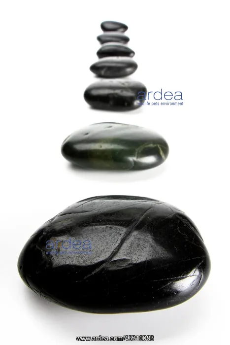 : Basalt stones : Basalt stones