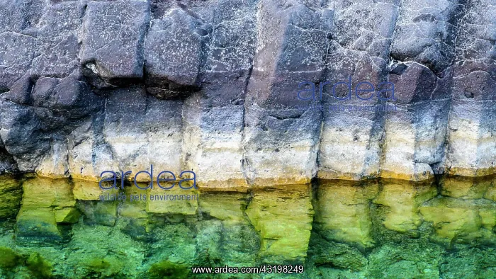 : Basalt stones formed into columns on a steep coast : Basalt stones formed into columns on a steep coast