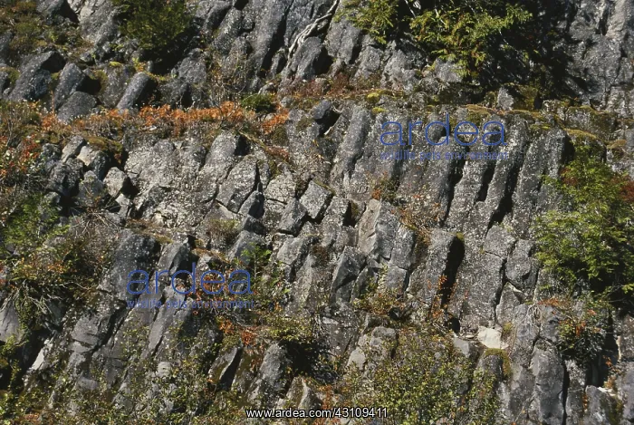 : Basalt in Washington : Basalt in Washington