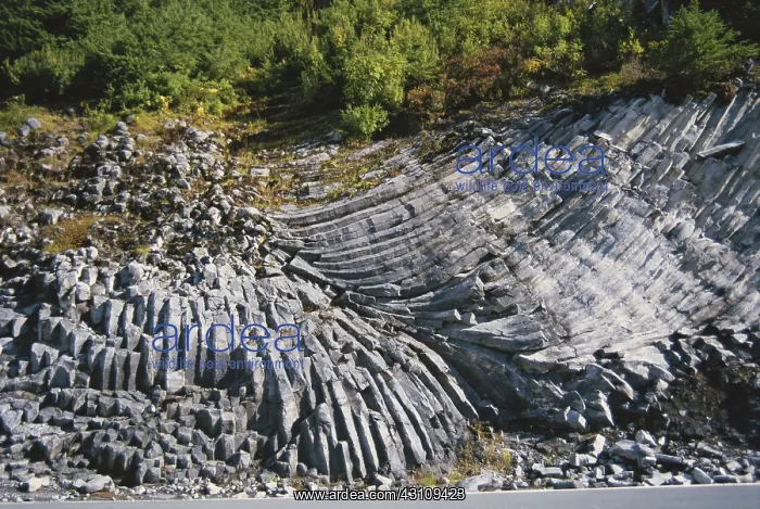 : Basalt in Washington : Basalt in Washington