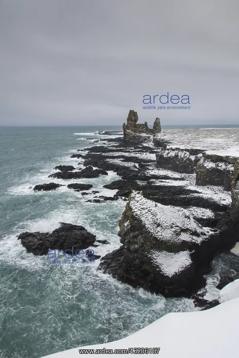 : Basaltcliffs Londrangar Snaefellsnes
