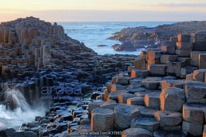 : Basaltic columns, Giant's Causeway, Causeway Coast : Basaltic columns, Giant's Causeway, Causeway Coast