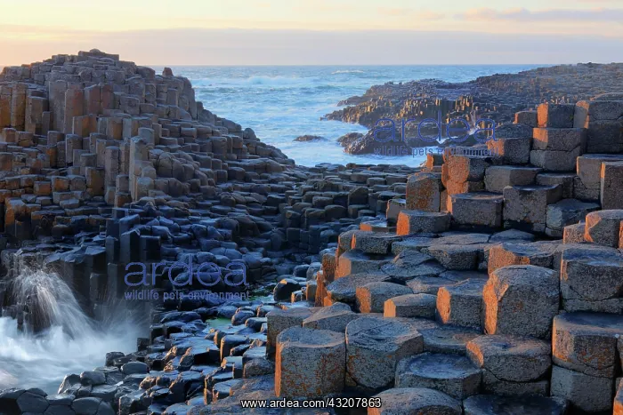 : Basaltic columns, Giant's Causeway, Causeway Coast : Basaltic columns, Giant's Causeway, Causeway Coast