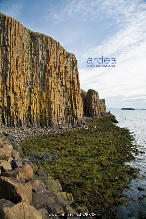 : Basaltic columns near Stykkisholmur, Iceland : Basaltic columns near Stykkisholmur, Iceland