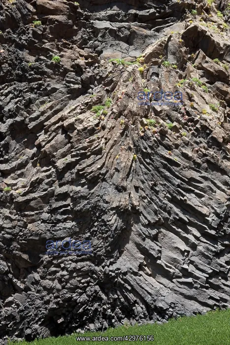 : Basaltic organ pipes cliff : Basaltic organ pipes cliff