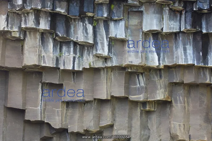 : Basaltstone : Basaltstone