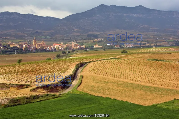 : At the base of mountains, the village of : At the base of mountains, the village of