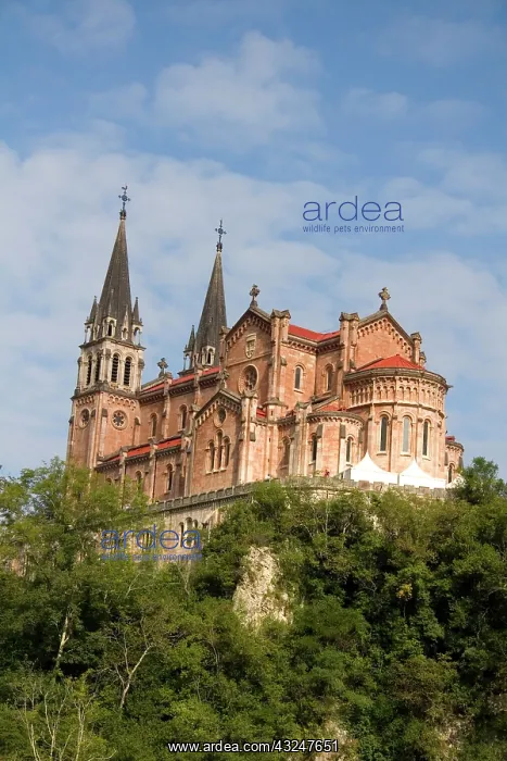: Basilica of Covadonga, northwestern Spain : Basilica of Covadonga, northwestern Spain